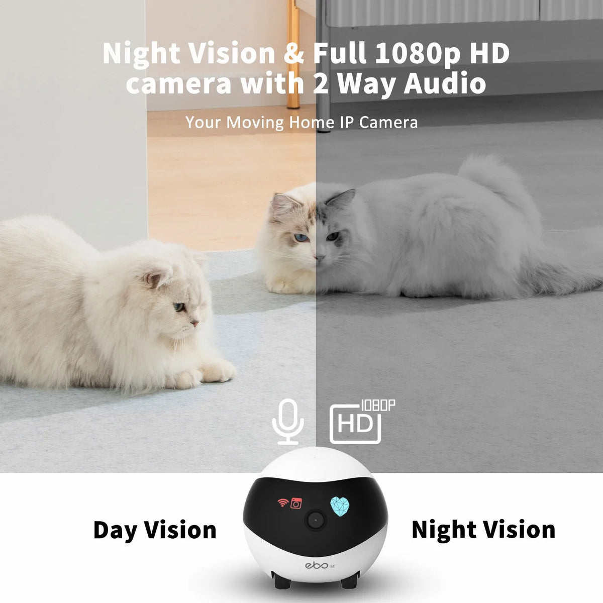 EBO SE Smart Home Robot Companion with Security Camera 1080P HD Audio Family Monitor for Surveillance And Audio Control