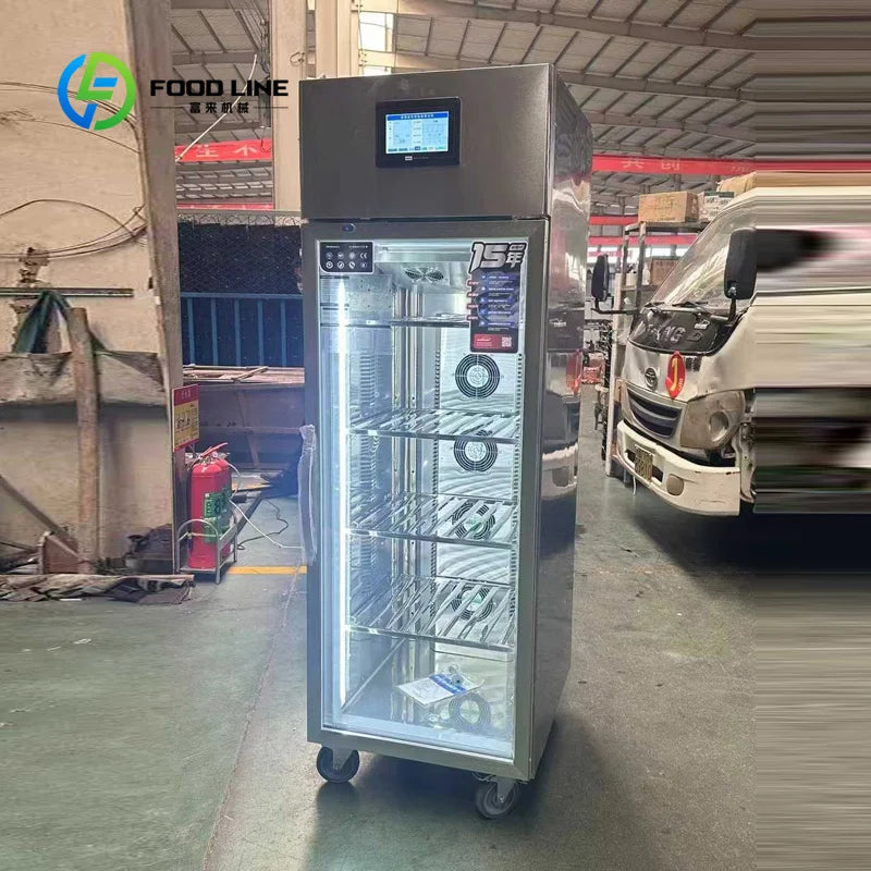 Stainless Steel Smart Thawing Cabinet High Voltage Electric Field Defroster Air Cooled Frost Free for Commercial Kitchen